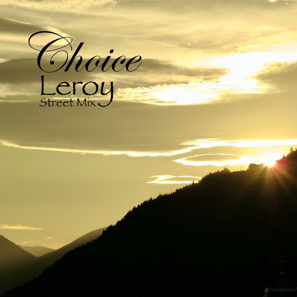 Leroy Streetmix